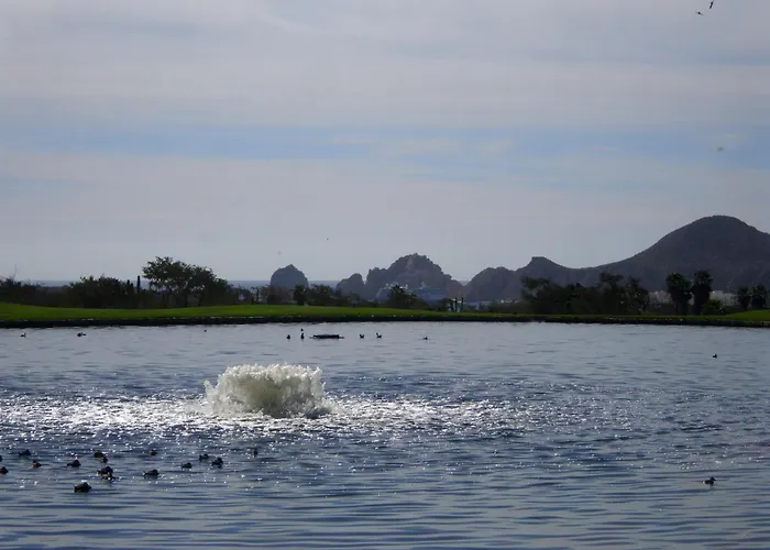 Resort Cabos Golf Resort, Trademark Collection By Wyndham Cabo San Lucas